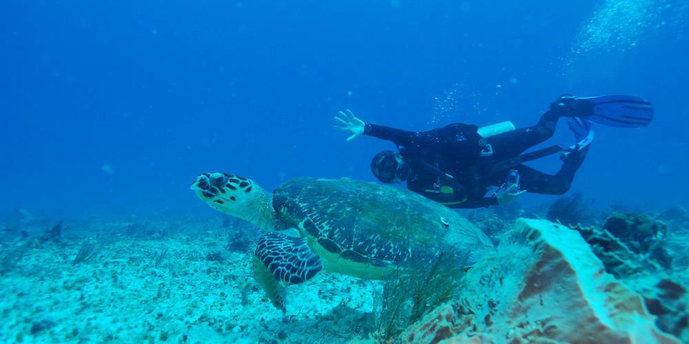 ליטל קורן איילנד Yemaya Reefs, A Small Luxury Hotel מראה חיצוני תמונה
